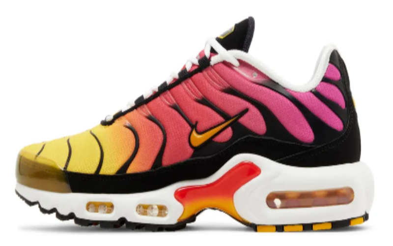 Air Max Plus Rainbow â Image 2