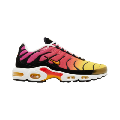 Air Max Plus Rainbow